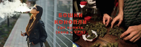дживик Белокуриха