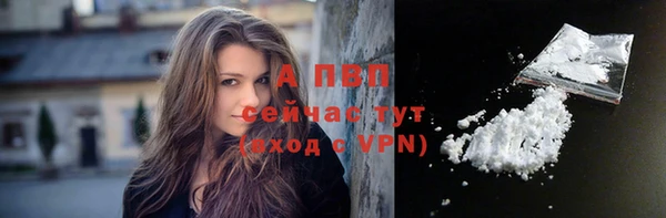 дживик Белокуриха