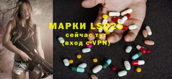 дживик Белокуриха