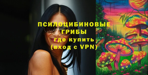 гидра Белоозёрский