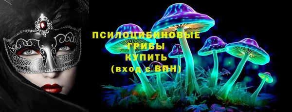 дживик Белокуриха