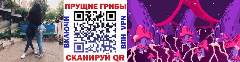 купить   Кондрово  Галлюциногенные грибы прущие грибы 